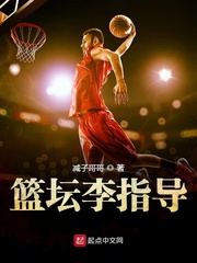  篮坛李指导