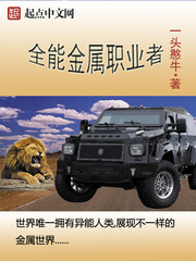  全能金属职业者