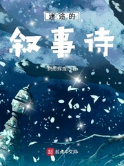  迷途的叙事诗