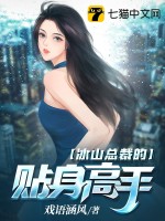  冰山总裁的贴身高手