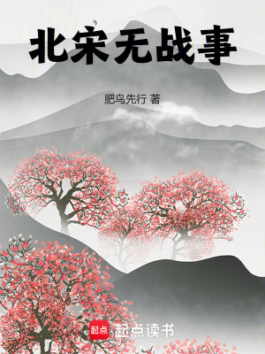  北宋无战事