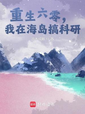  重生六零，我在海岛搞科研
