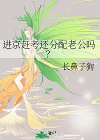  进京赶考还分配老公吗？