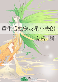  重生后独宠灾星小夫郎