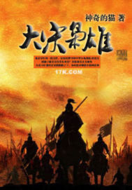  大宋枭雄