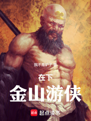 在下，金山游侠