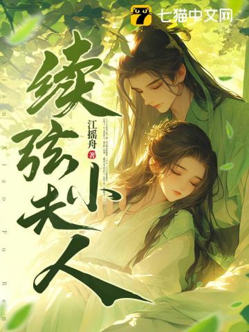  续弦小夫人