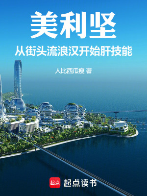  美利坚：从街头流浪汉开始肝技能