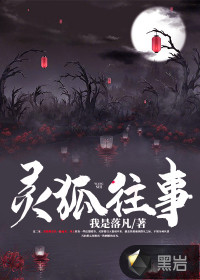 灵狐往事
