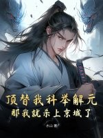  顶替我科举解元，那我就杀上京城了