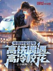  寒假回家过年，高铁偶遇高冷校花