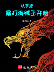  从拳愿暴打海贼王开始