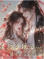  灵魂互换后：摄政王在后宅杀疯了