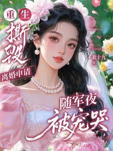  重生撕毁离婚申请，随军夜被宠哭
