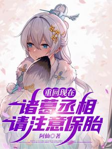  重回现在：诸葛丞相，请注意保胎