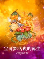  宝可梦：传说的诞生