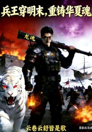  兵王穿明末：重铸华夏魂