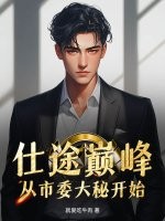  仕途巅峰：从市委大秘开始！