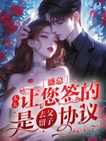  盛总，太太让您签的是去父留子协议