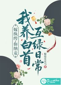  嫁纨绔，你纳妾我养白首互绿日常