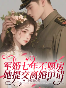  军婚七年不圆房，她提交离婚申请