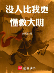  没人比我更懂救大明