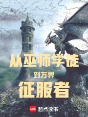  从巫师学徒到万界征服者