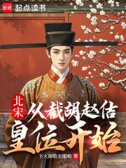  北宋：从截胡赵佶皇位开始