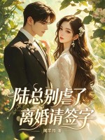  陆总别虐了，离婚请签字