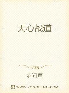  天心战道