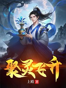  聚灵飞升