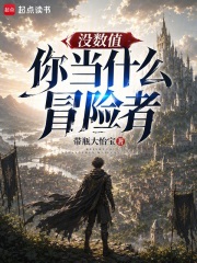  没数值你当什么冒险者