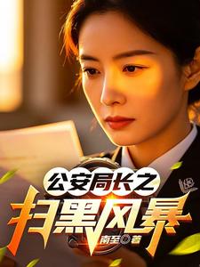  公安局长之扫黑风暴