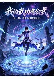  我的武功有公式