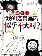  御兽！我的宠兽画风似乎不太对？
