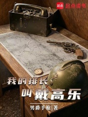  我的排长戴高乐