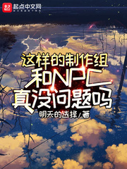  这样的制作组和NPC真没问题吗