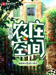  系统之农庄空间