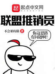  联盟推销员