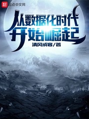  从数据化时代开始崛起