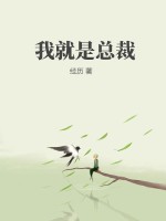  我就是总裁